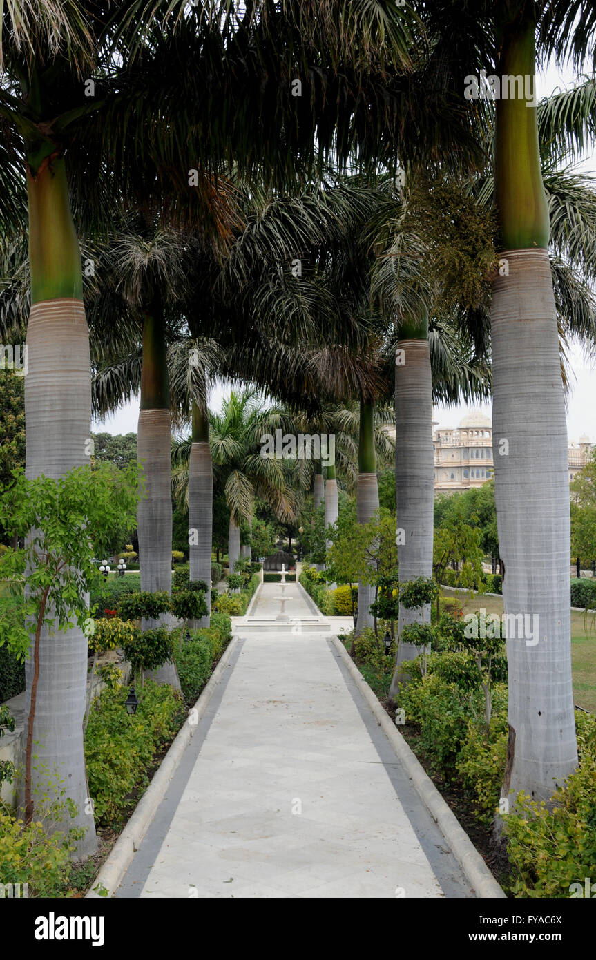 Jardín paseo al lado del lago Pichola, Udaipur en el norte de la India. Foto de stock