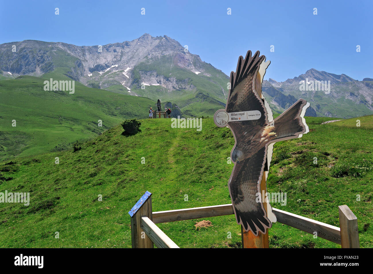 Mirador con letrero con milano real (Milvus milvus) para observación de aves de presa en el Col du Soulor, Hautes Pyrénées, Francia Foto de stock