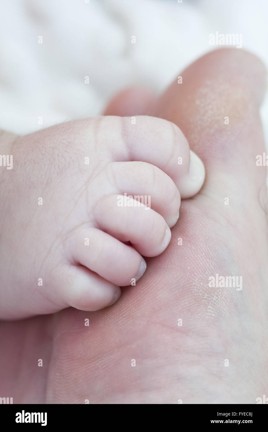 Pie neonatal en los dedos de los pies de su padre Fotografía de stock