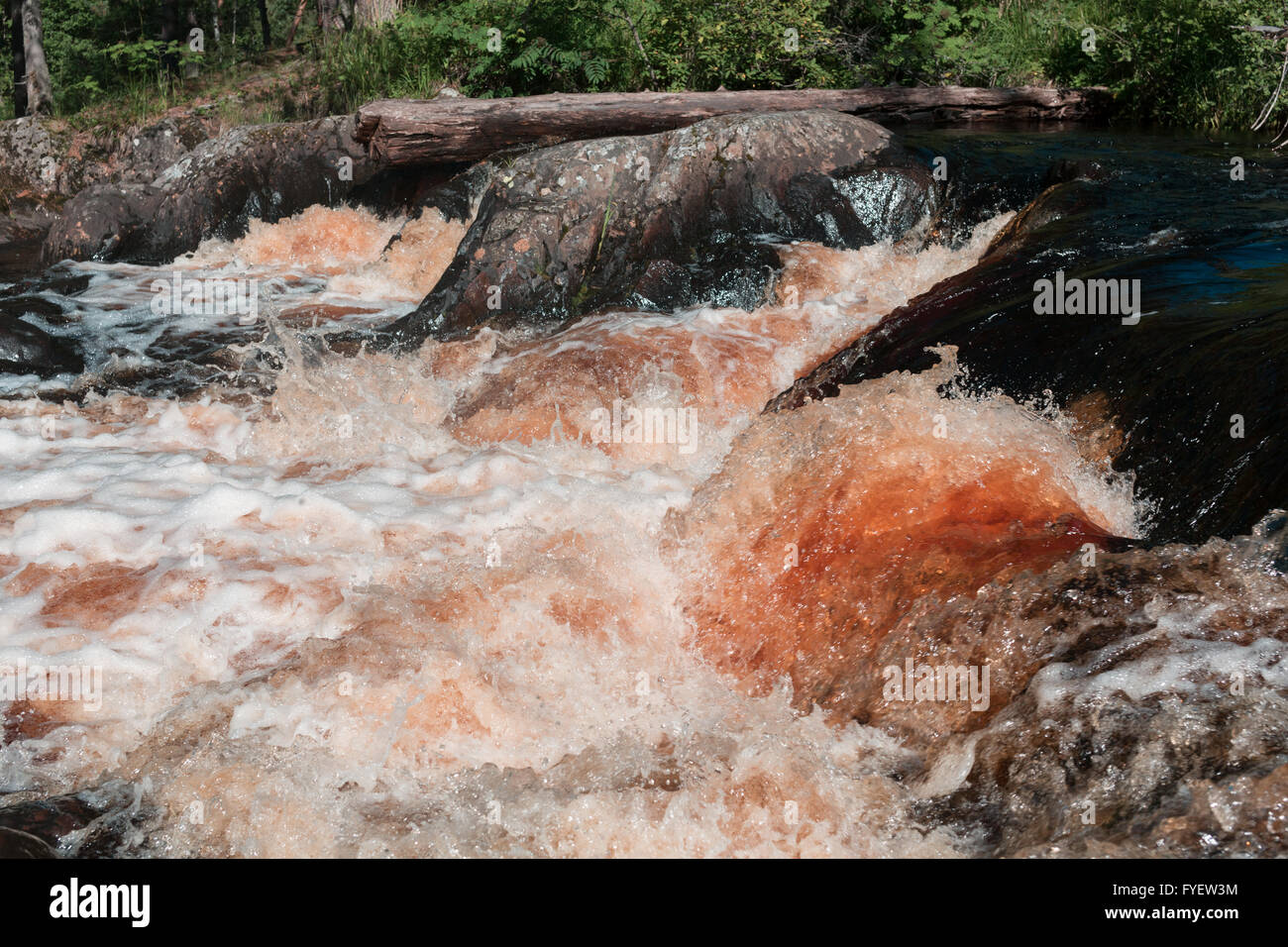 Río que fluye sobre las rocas en el bosque. Foto de stock