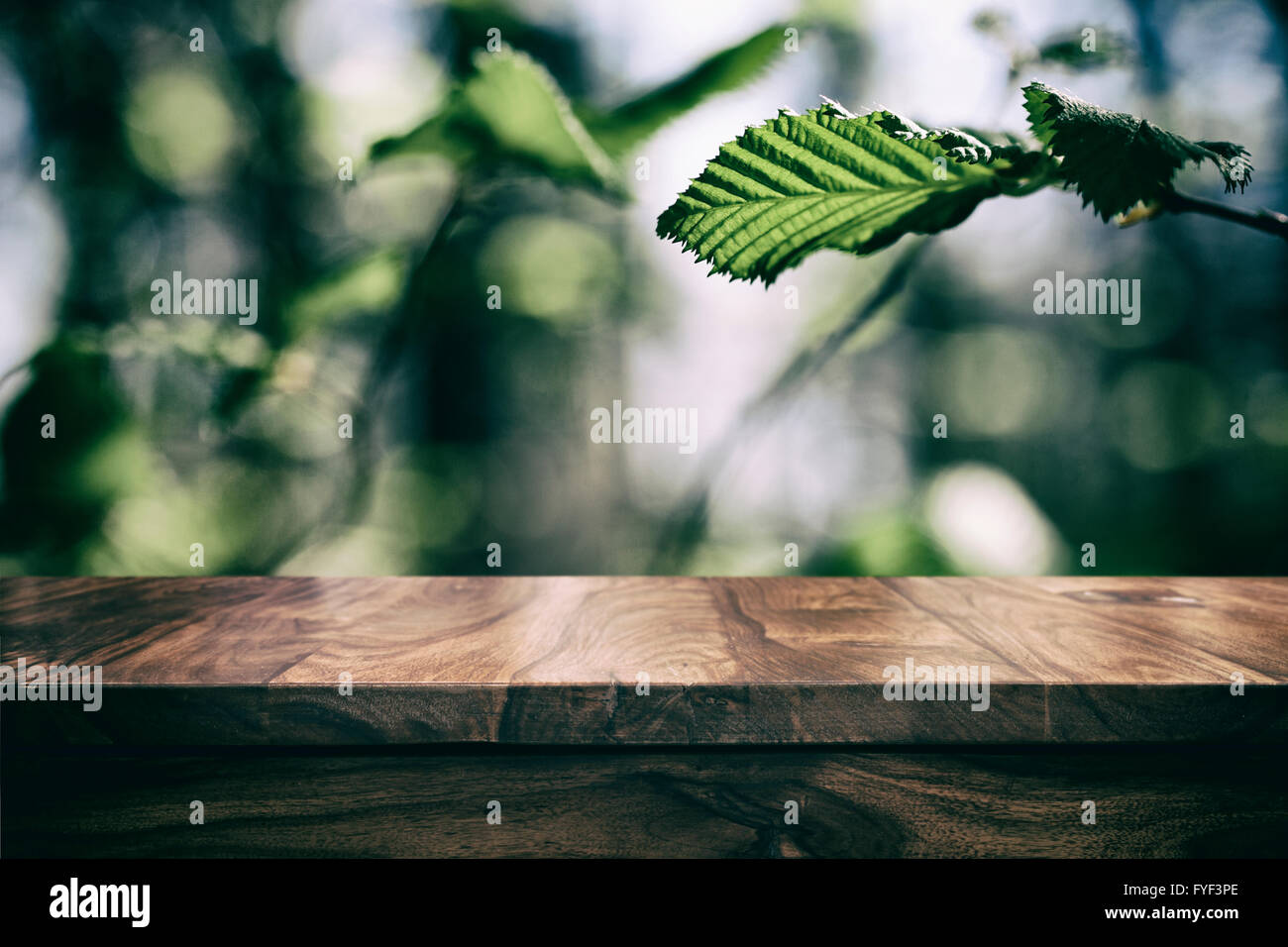 Mesa de madera superior vacía y difuminar el fondo floral Foto de stock