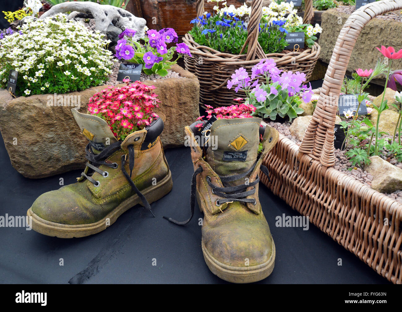 Plantó las botas,cestas de mimbre y comederos de piedra Mostrar en la planta en el pabellón de Harrogate Spring Flower Show. Yorkshire, Reino Unido. Foto de stock