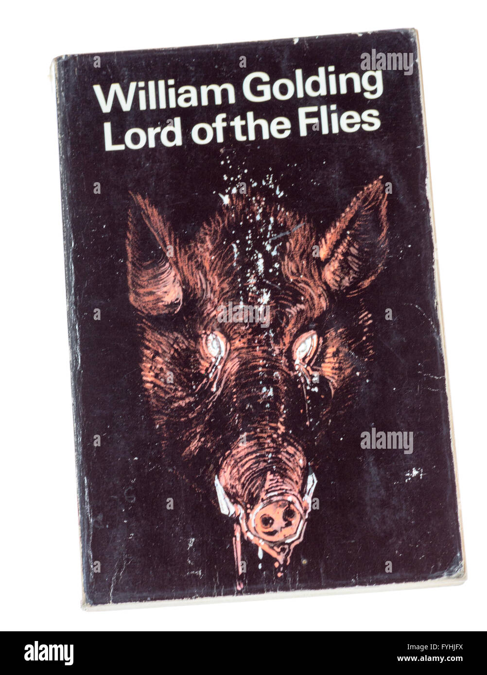 William Golding el Señor de las moscas rústica portada del libro. Foto de stock