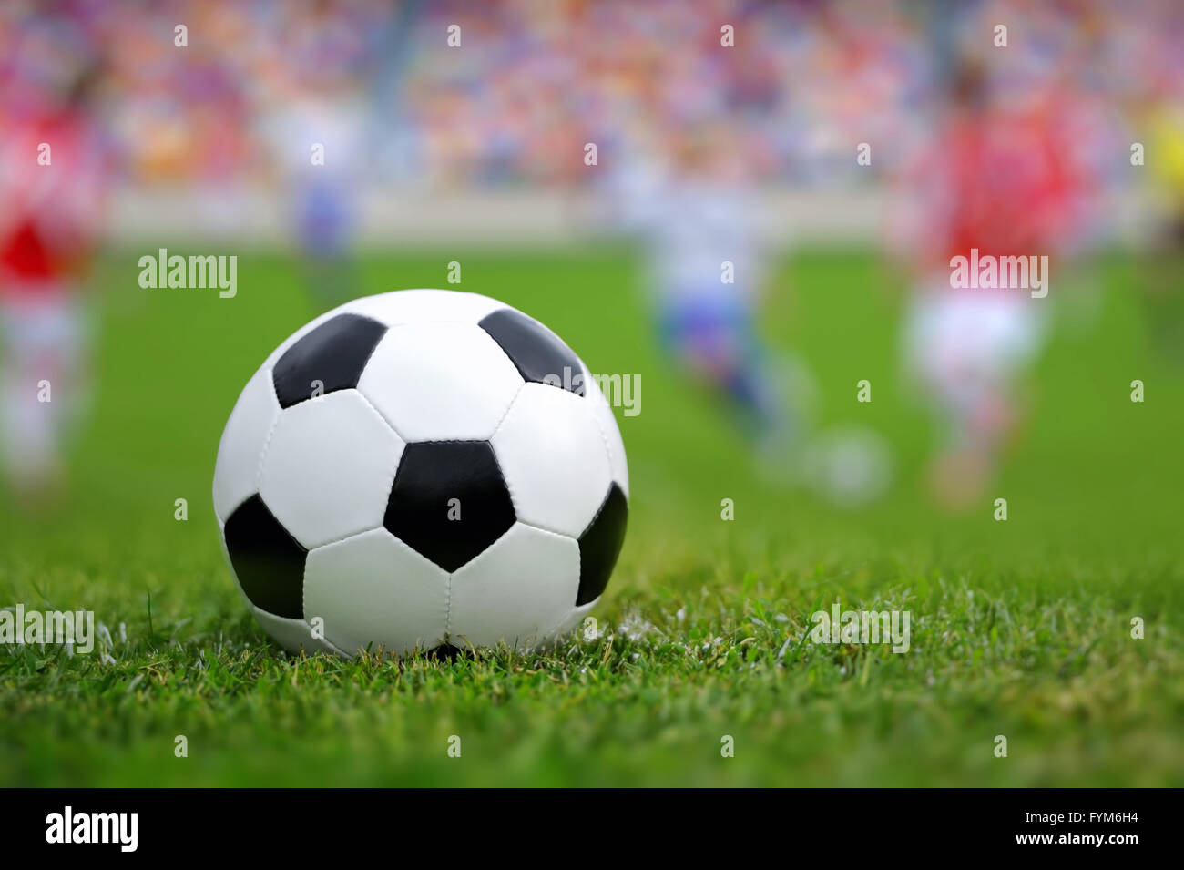 Close up soccer ball on green fotografías e imágenes de alta resolución -  Alamy