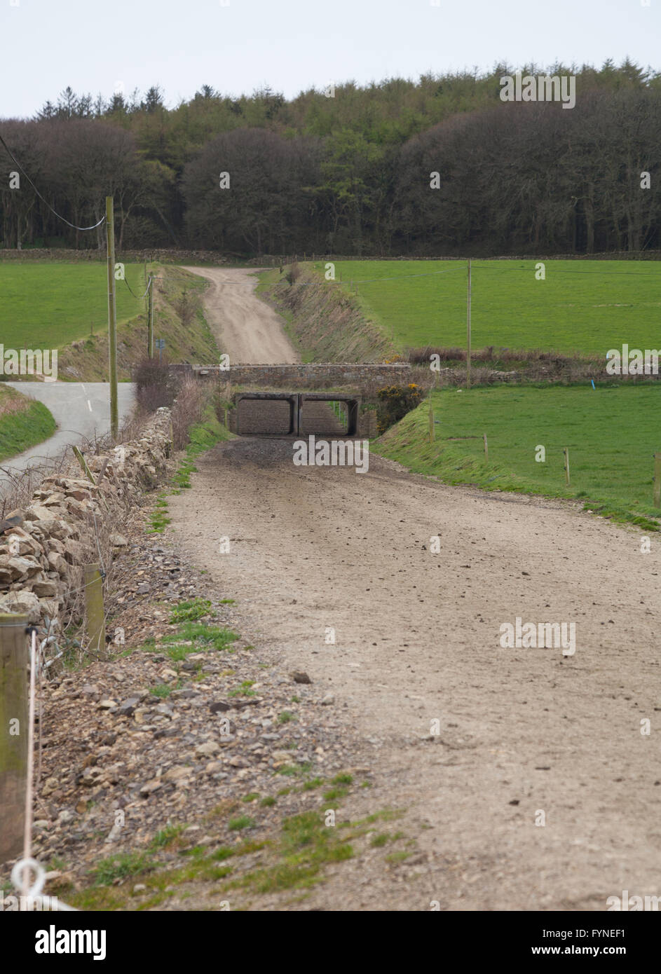 Propósito construido carreteras y túneles de carretera en Cefnamlwch granja lechera, Sarn, Pwllheli - gran granja lechera moderna Foto de stock