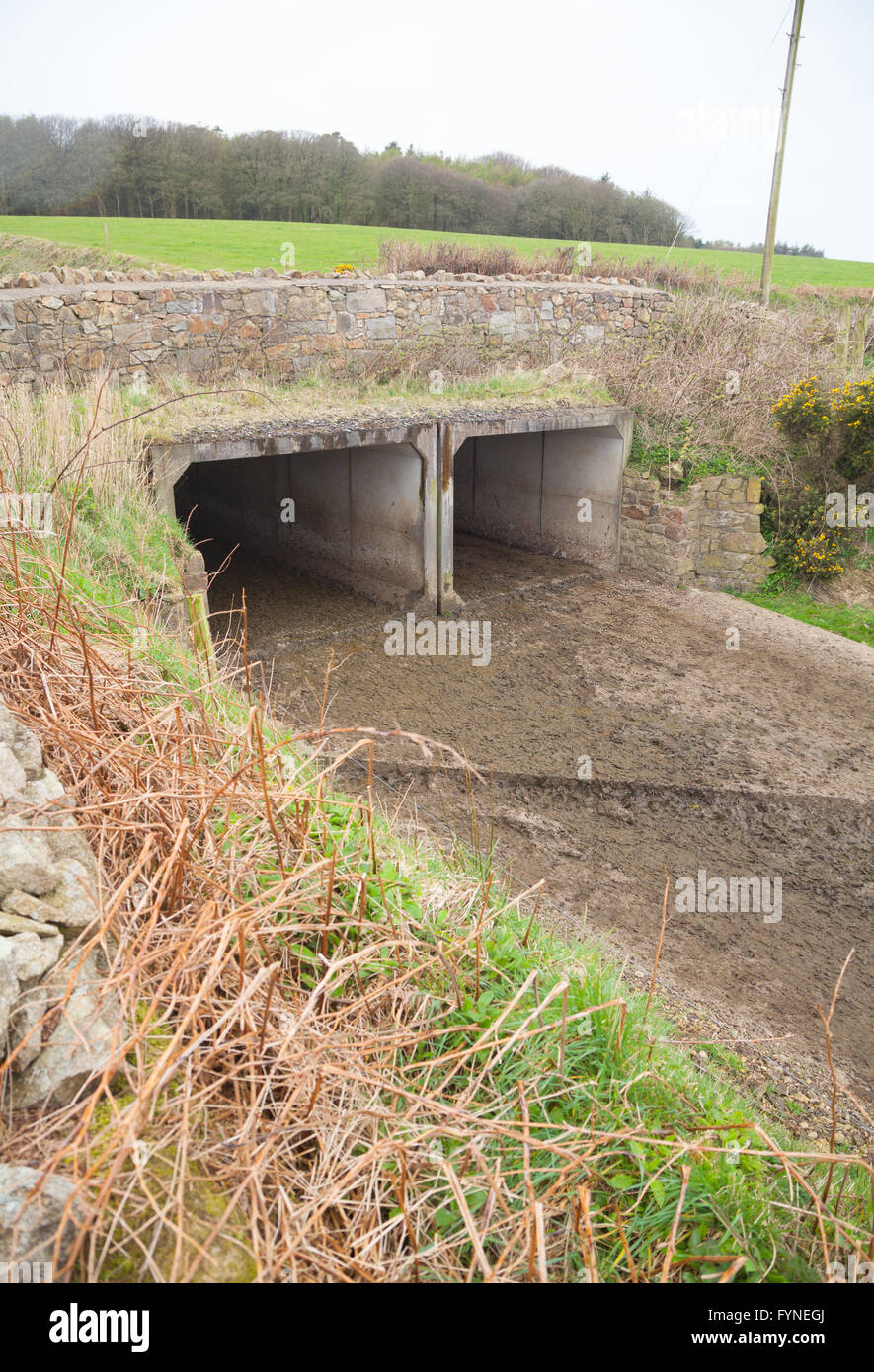 Propósito construido carreteras y túneles de carretera en Cefnamlwch granja lechera, Sarn, Pwllheli - gran granja lechera moderna Foto de stock