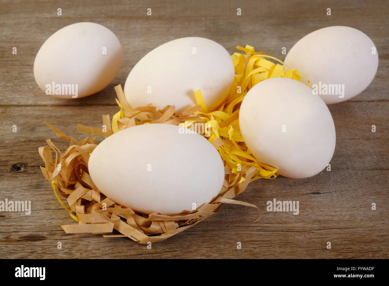 Huevos De Pato Fotos E Imagenes De Stock Alamy