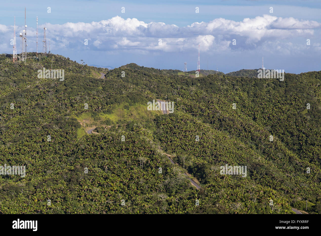 Las selvas alrededor del cerro de Punta, Puerto Rico, el punto más alto Foto de stock