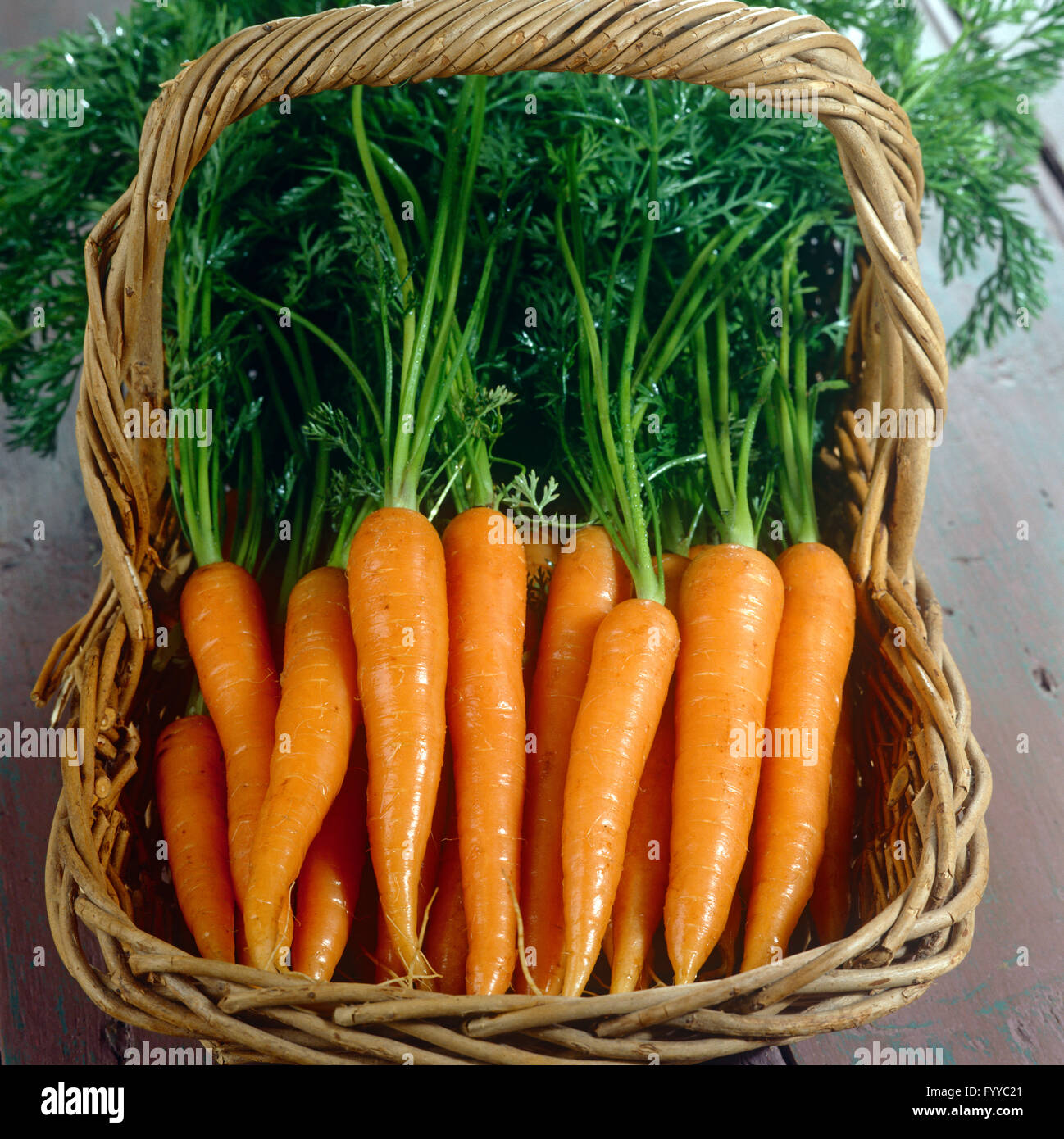Un montón de zanahorias con tops en una canasta, en el interior. Foto de stock