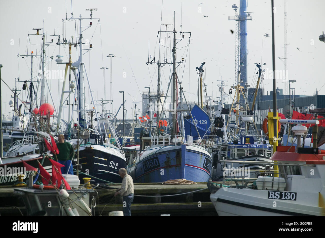 Flota de Pesca, danemark Foto de stock