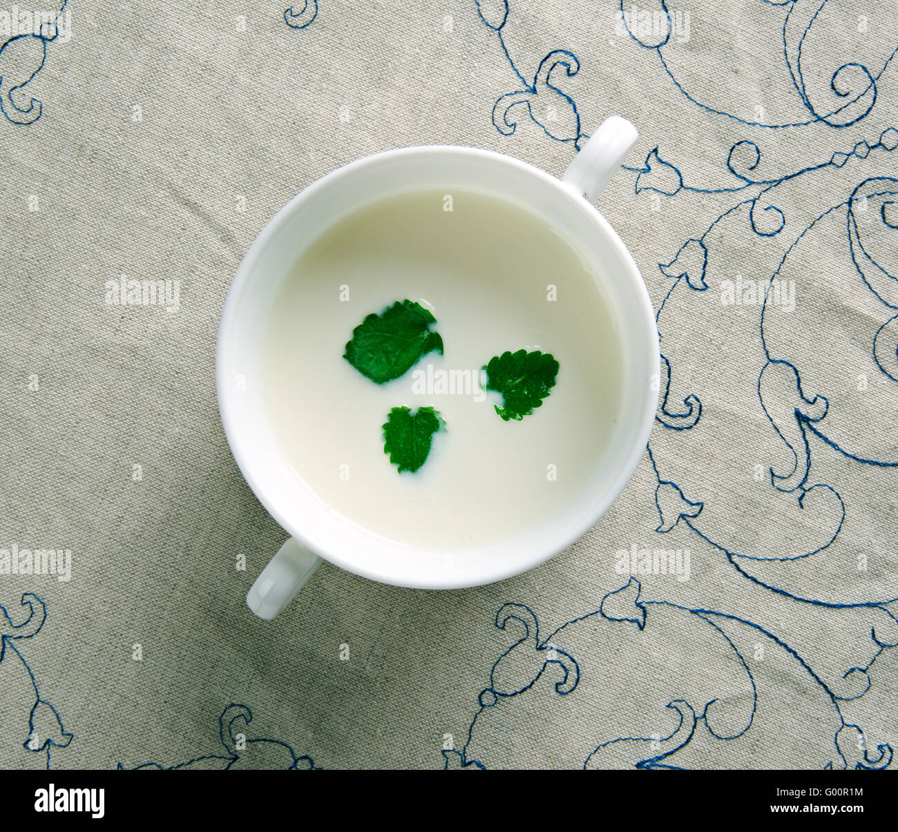 Minty Garlicky salsa de yogur Foto de stock