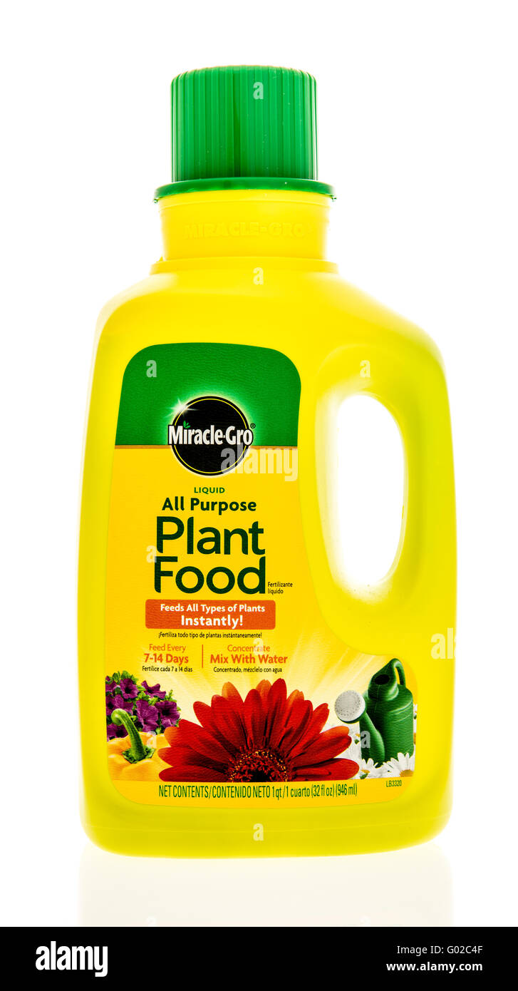 Winneconne, WI - 28 de abril de 2016: Botella de Miracle Gro líquido propósito todos los alimentos de origen vegetal en un fondo aislado Foto de stock