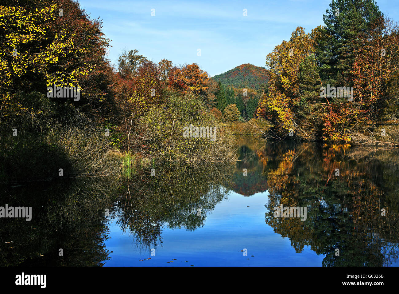 El área protegida del paisaje Dielbachtal, Alemania Foto de stock