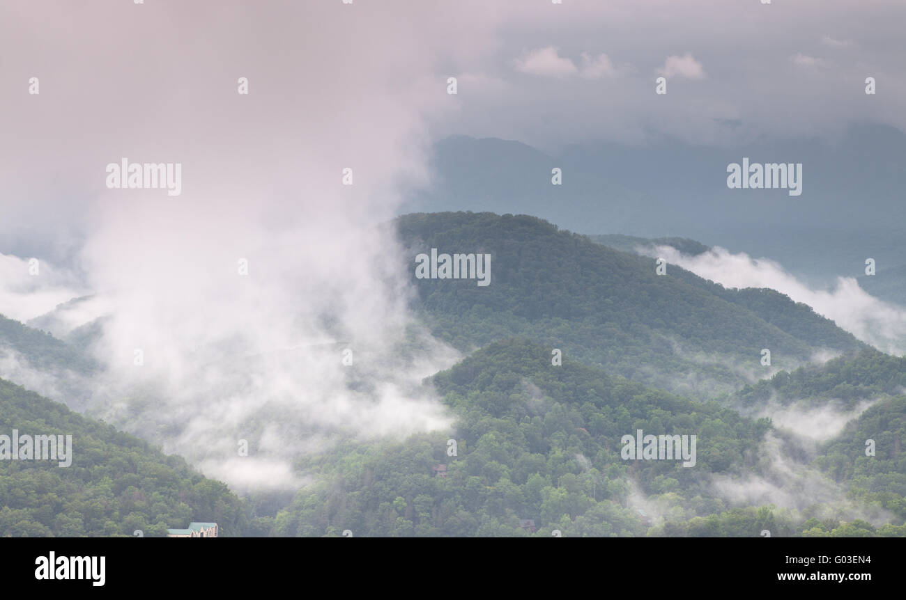 Por la mañana temprano y la nube de niebla valle montañoso paisaje Foto de stock