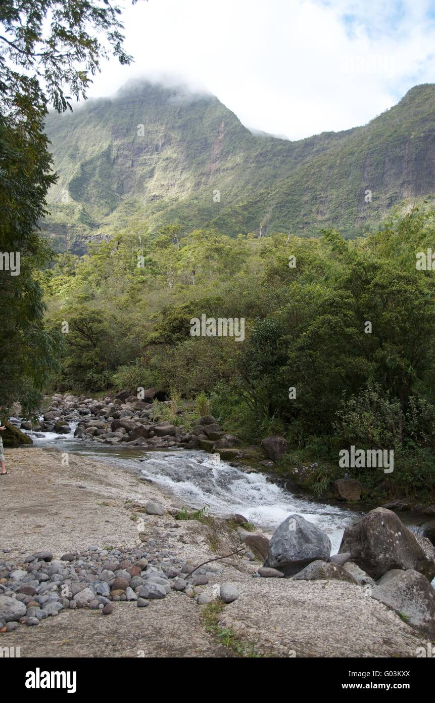 Caudaloso río en la selva tropical Foto de stock