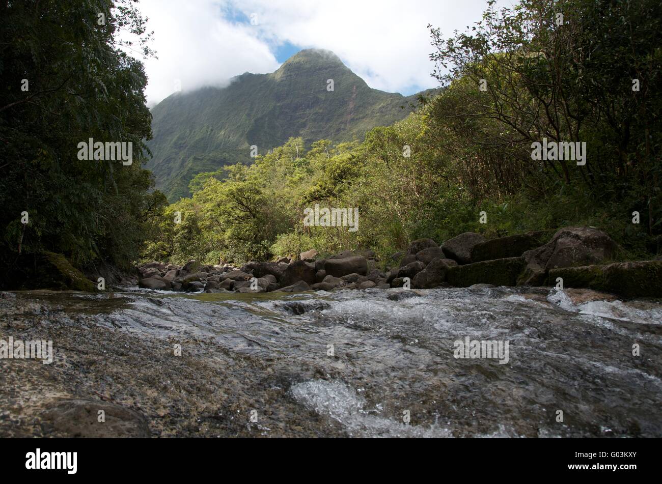 Caudaloso río en la selva tropical Foto de stock