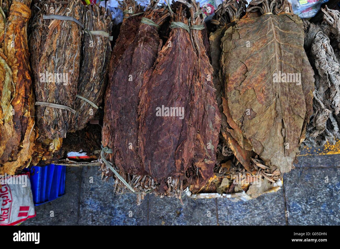 Varias hojas de tabaco seco Lhasa atados en el mercado Foto de stock