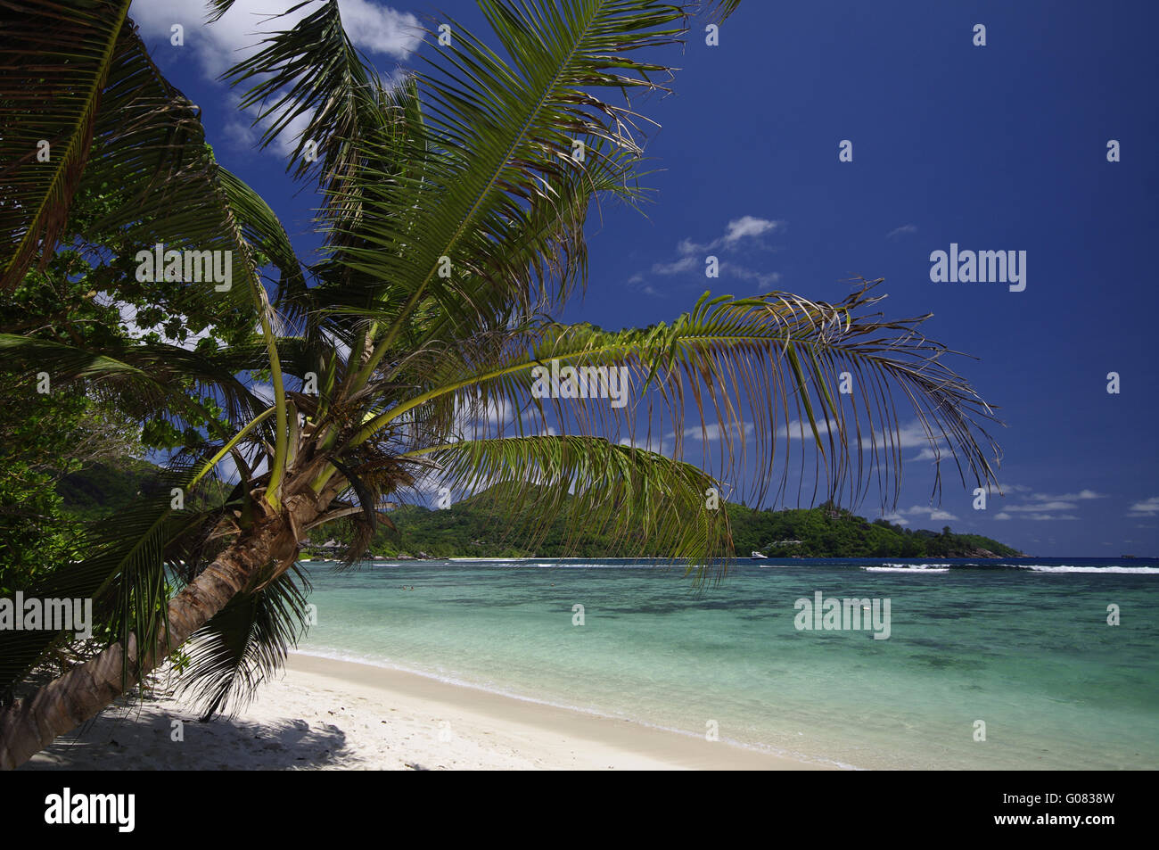 En Baie Lazare palmera beach, Seychelles Foto de stock