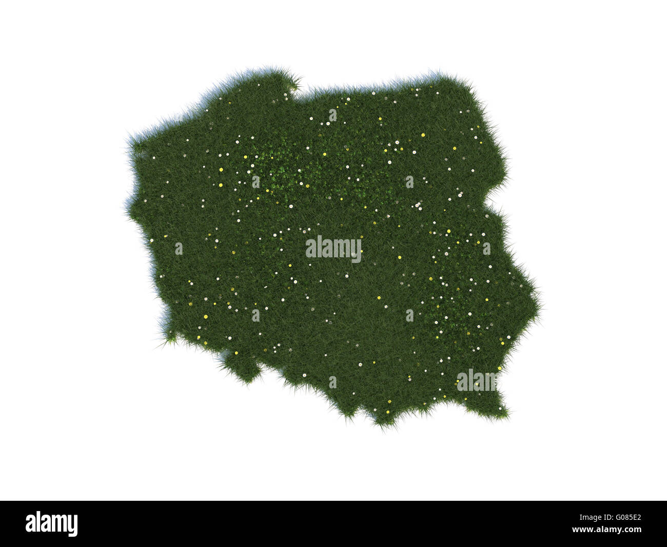 Mapa de Polonia serie países fuera de hierba realista Foto de stock