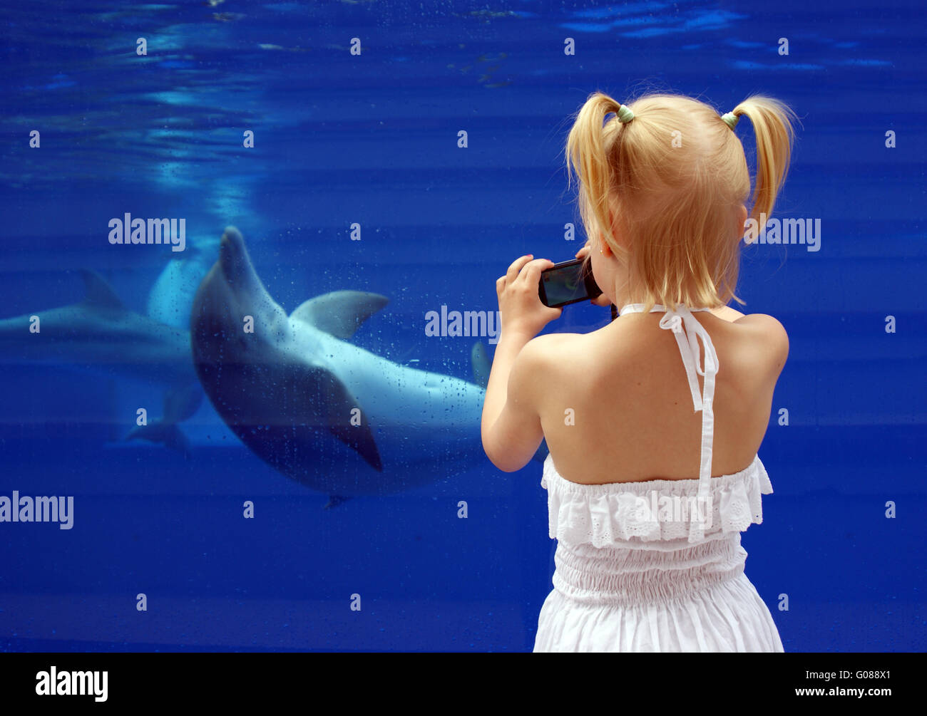 Chica con Dolphin Foto de stock