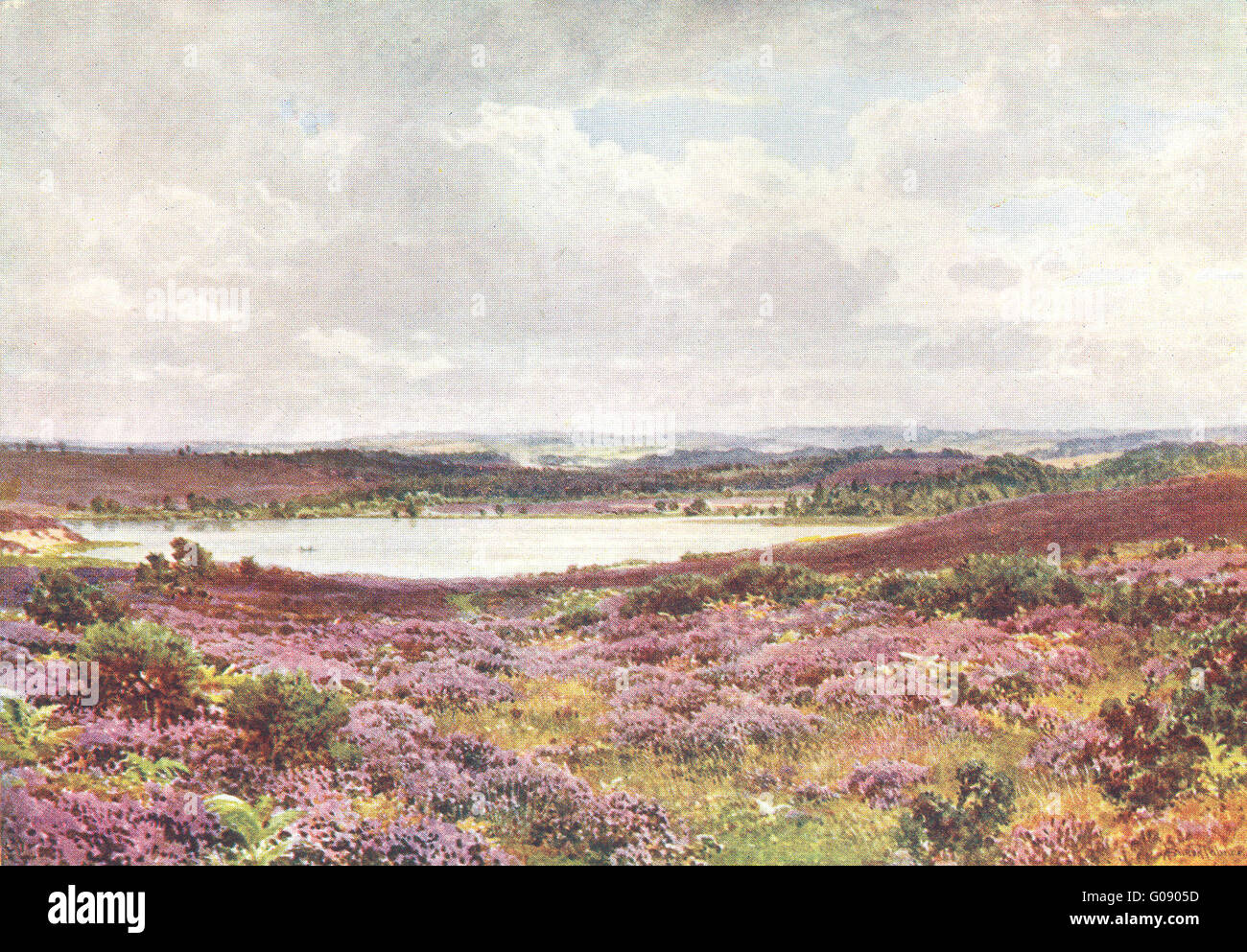 SURREY: Great Pond, Frensham, grabado antiguo 1912 Foto de stock