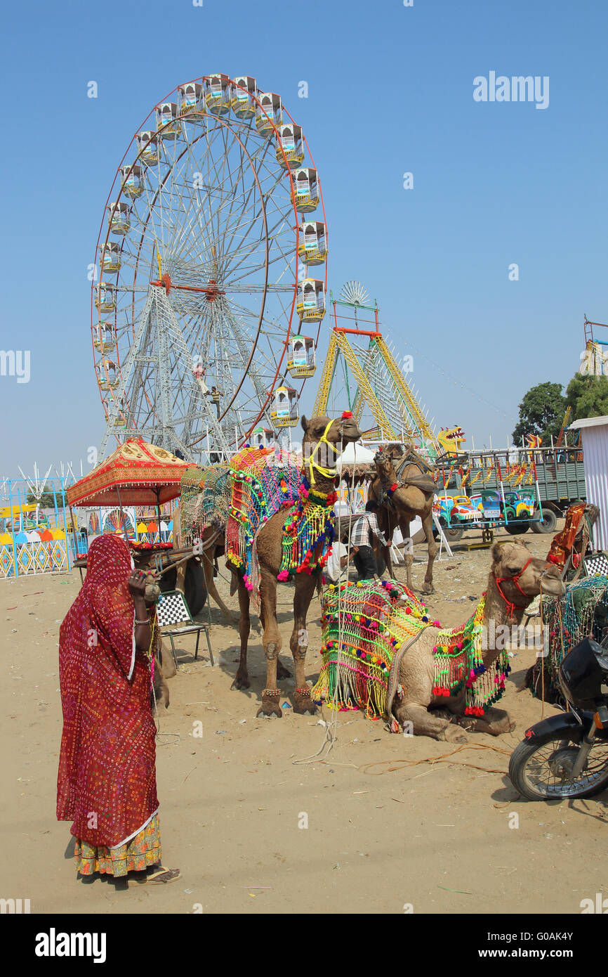 Mujer camellos y ruedas de ferris en Pushkar camel fair Foto de stock
