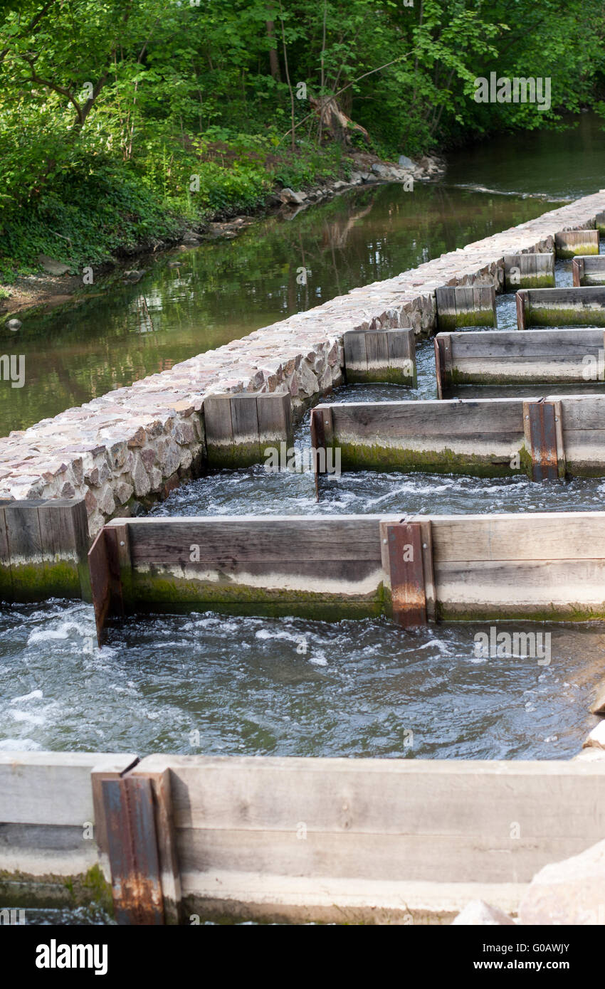 Escalera de peces Fotografía de stock Alamy