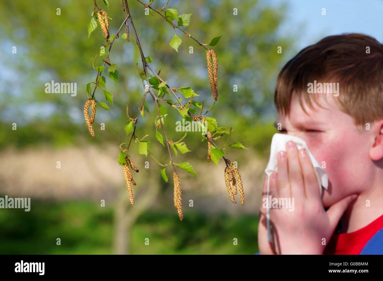 Niño con fiebre del heno Alergia y pañuelo Foto de stock