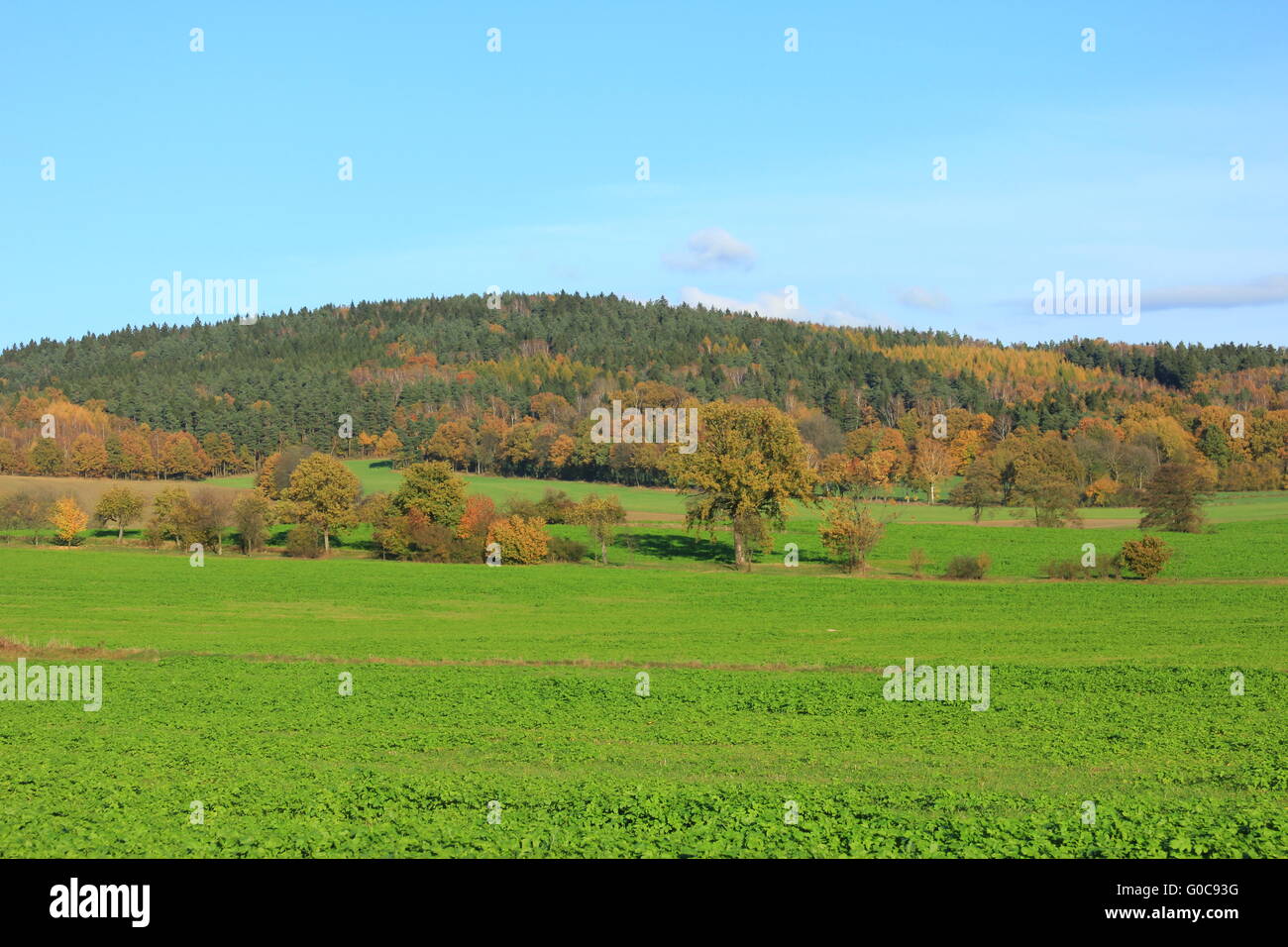 Paisaje otoñal Foto de stock