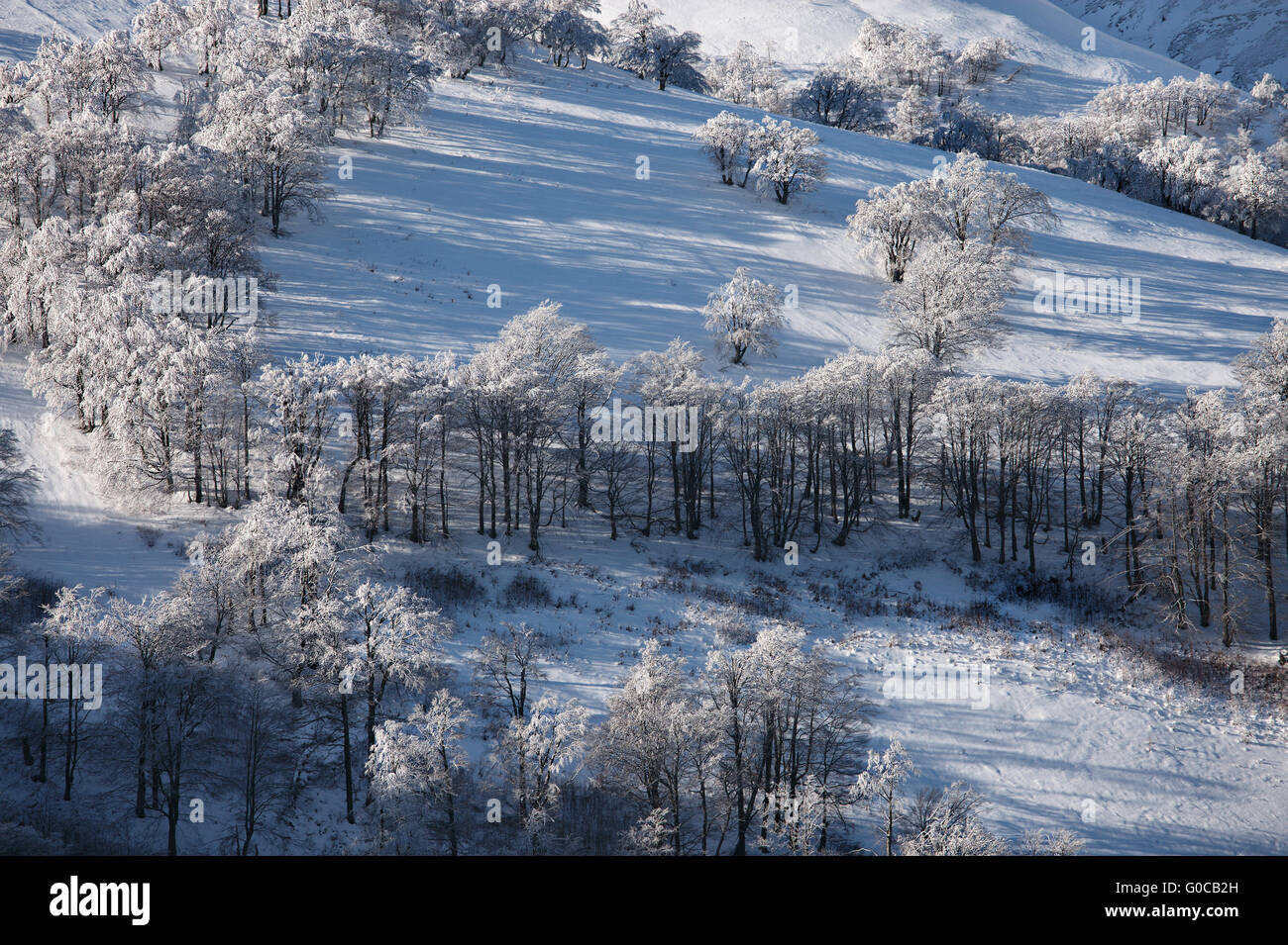 Montaña invernal paisaje con árboles en la colina Foto de stock