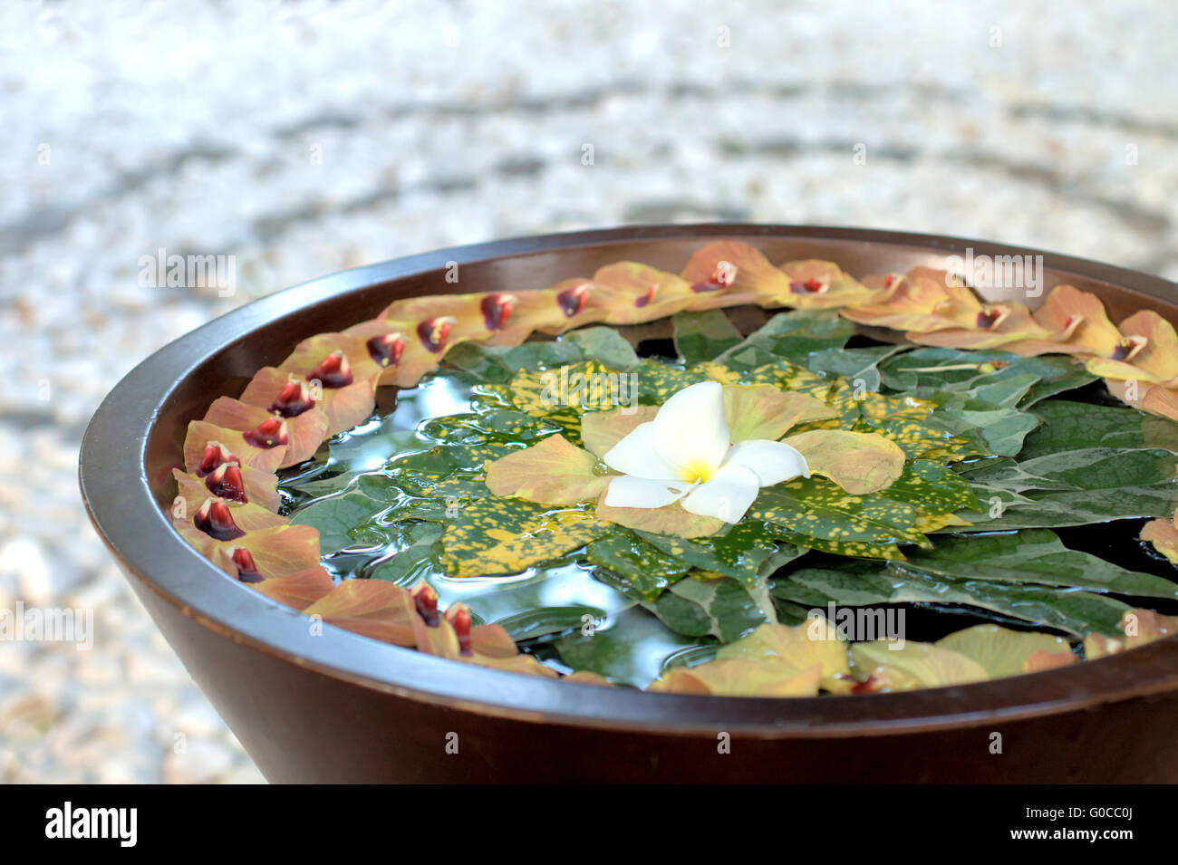 Recipiente de agua y flores en un spa con círculo Zen Foto de stock