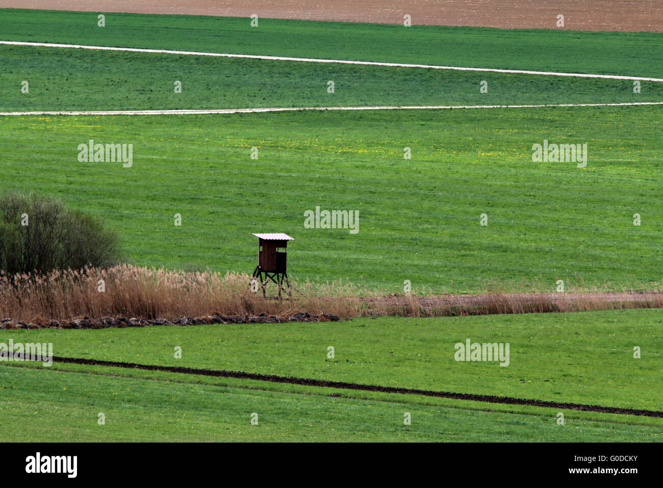 Deerstand en el paisaje agrícola, Baviera Foto de stock