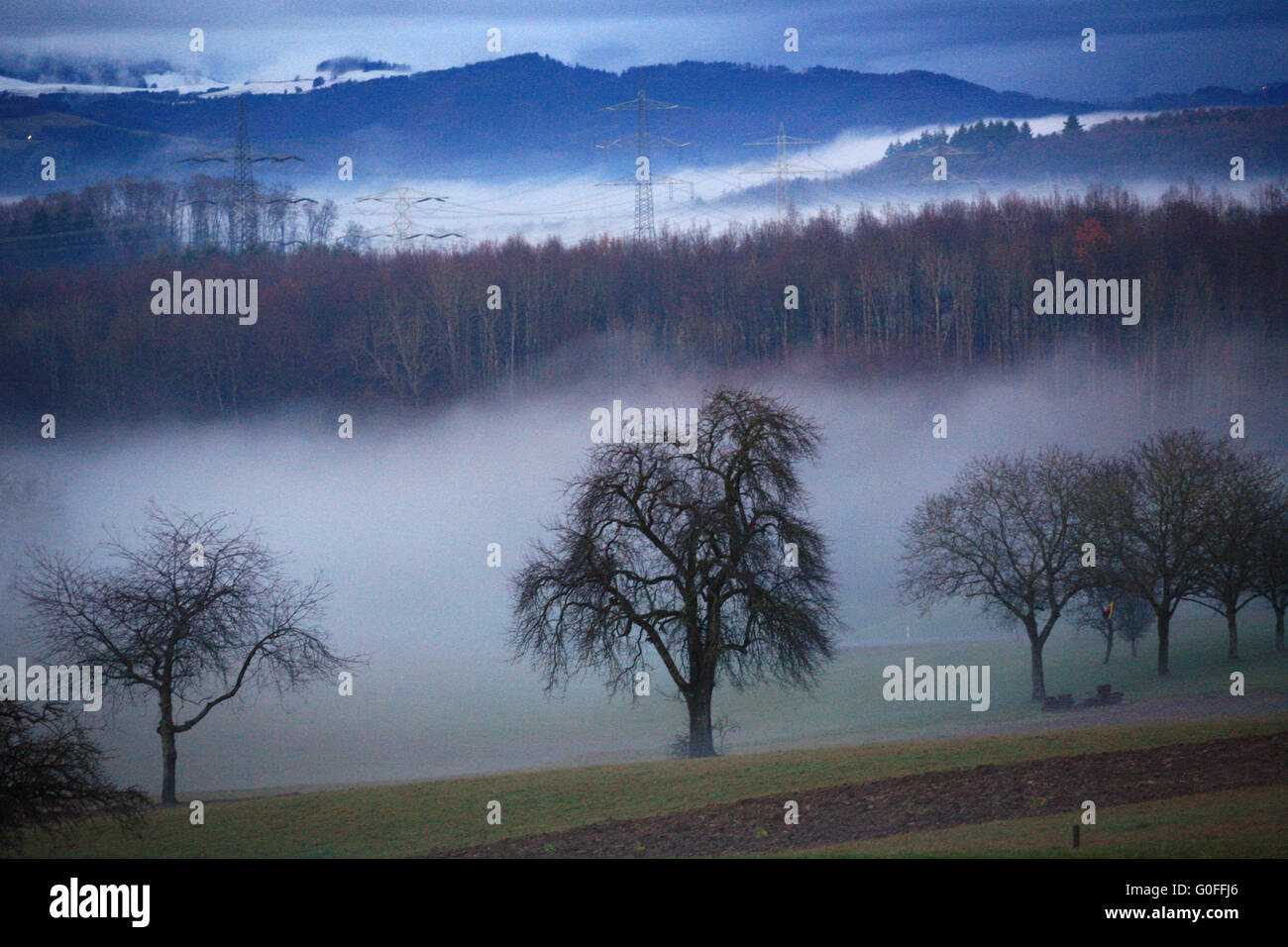 Otoño con lotes de niebla en la Selva Negra. Foto de stock