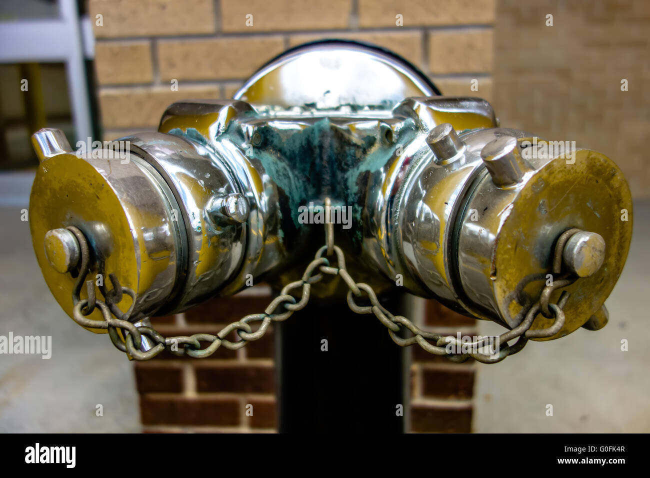 siamés fotografías imágenes de alta resolución - Alamy