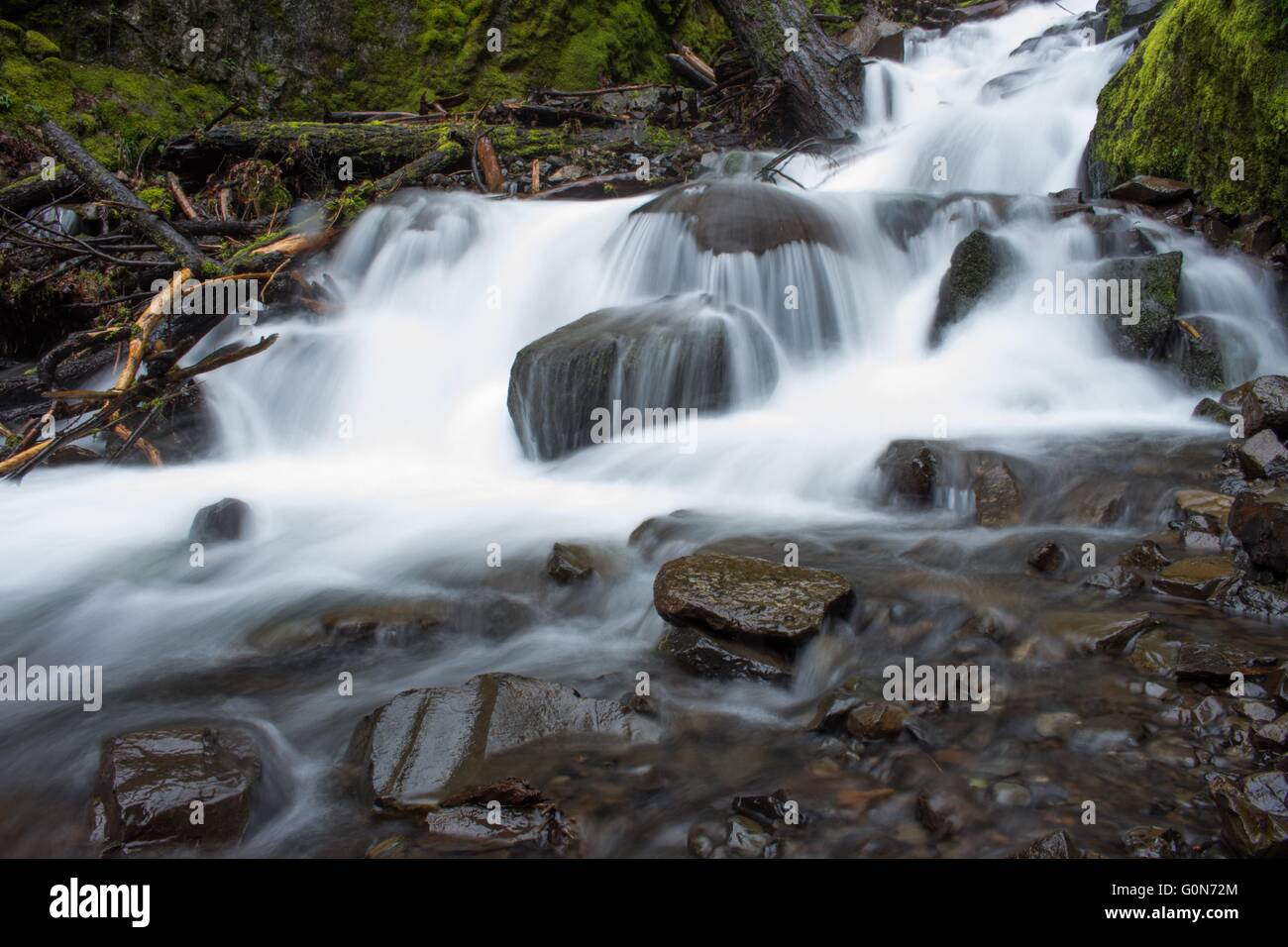 La inanición Creek, Columbia River Gorge National Scenic Area, Oregón Foto de stock