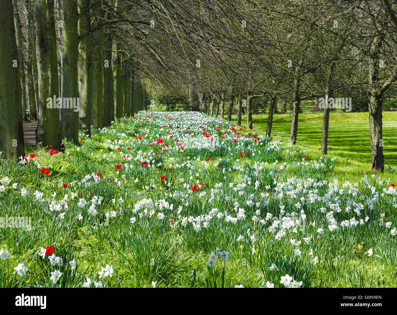 La primavera en los jardines en el Trinity College (Universidad de Cambridge, Inglaterra), la más grande de Oxbridge college. Foto de stock