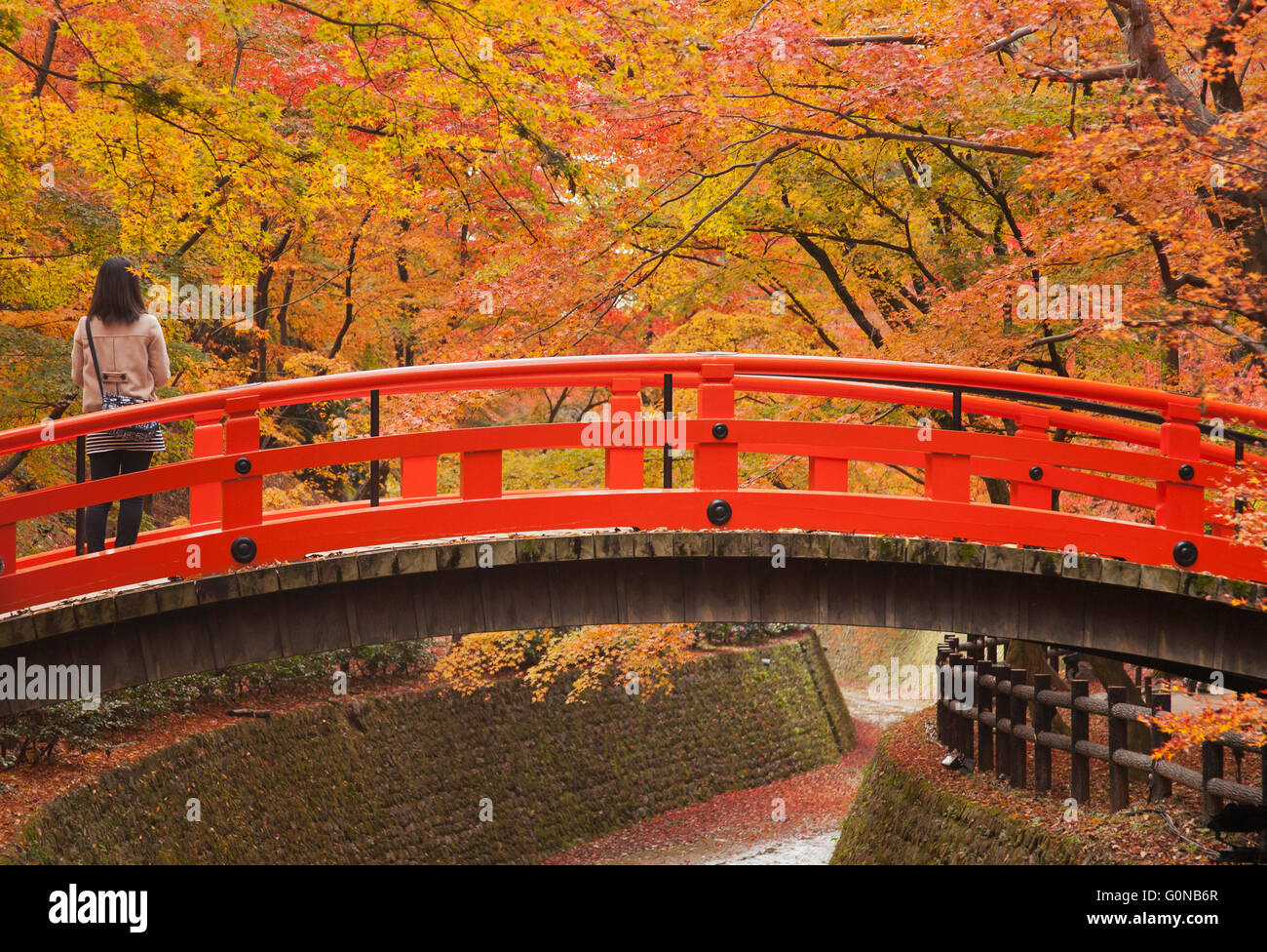 Los colores de otoño y puente, Kitano Tenmangu Shrine, Kyoto, Japón Foto de stock