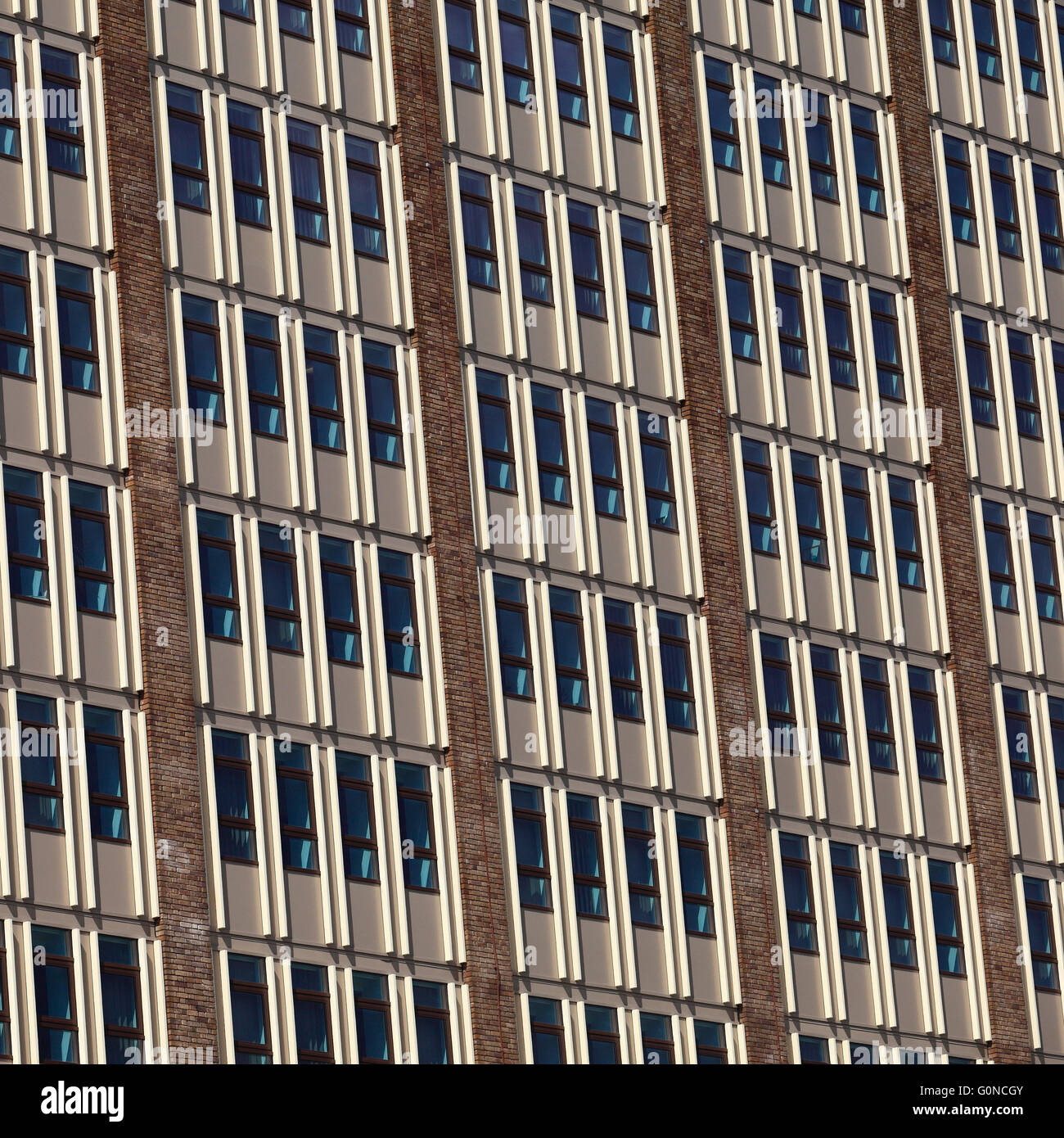 El County Hall Norwich office windows. Foto de stock