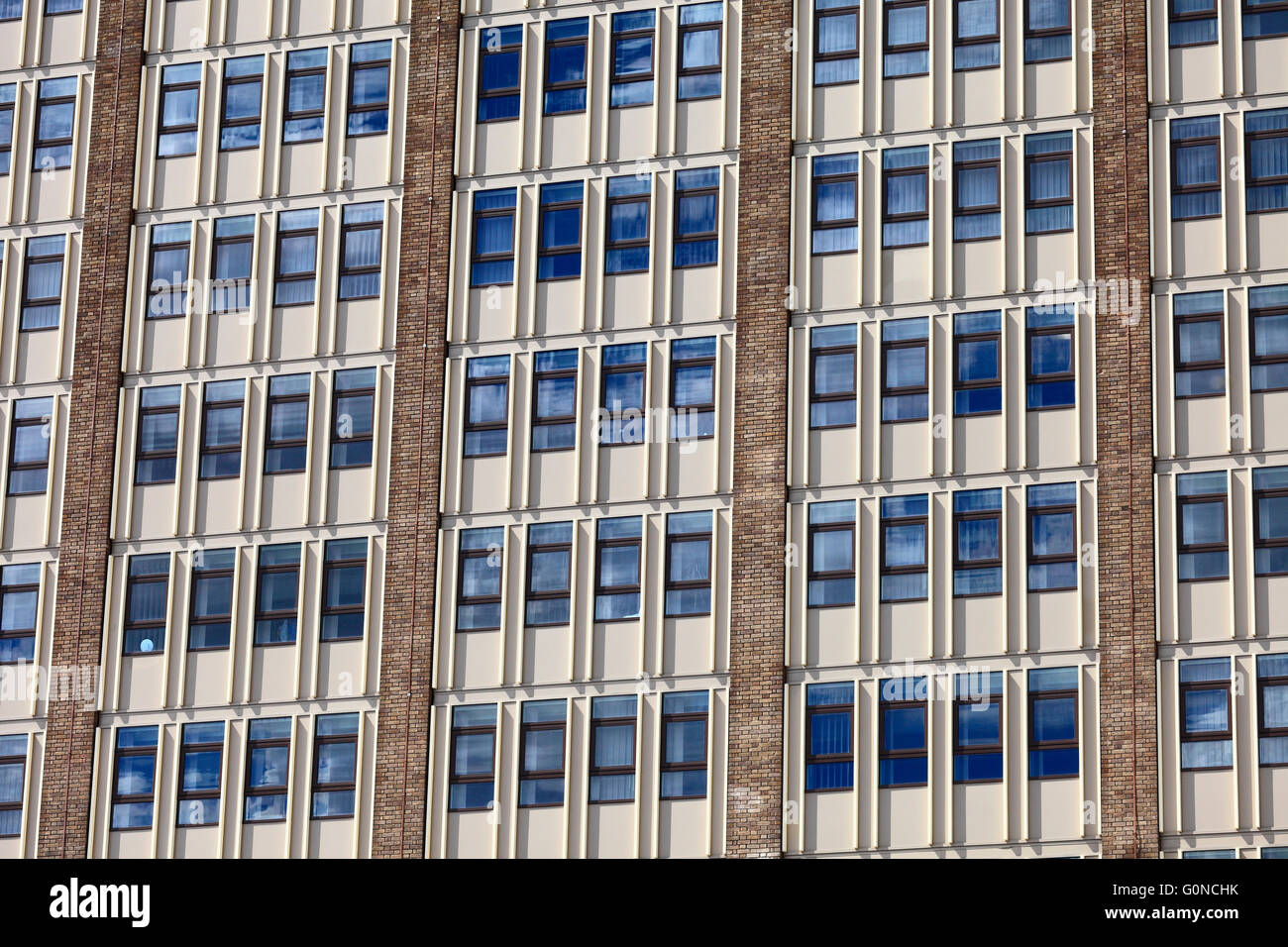 El County Hall Norwich office windows. Foto de stock