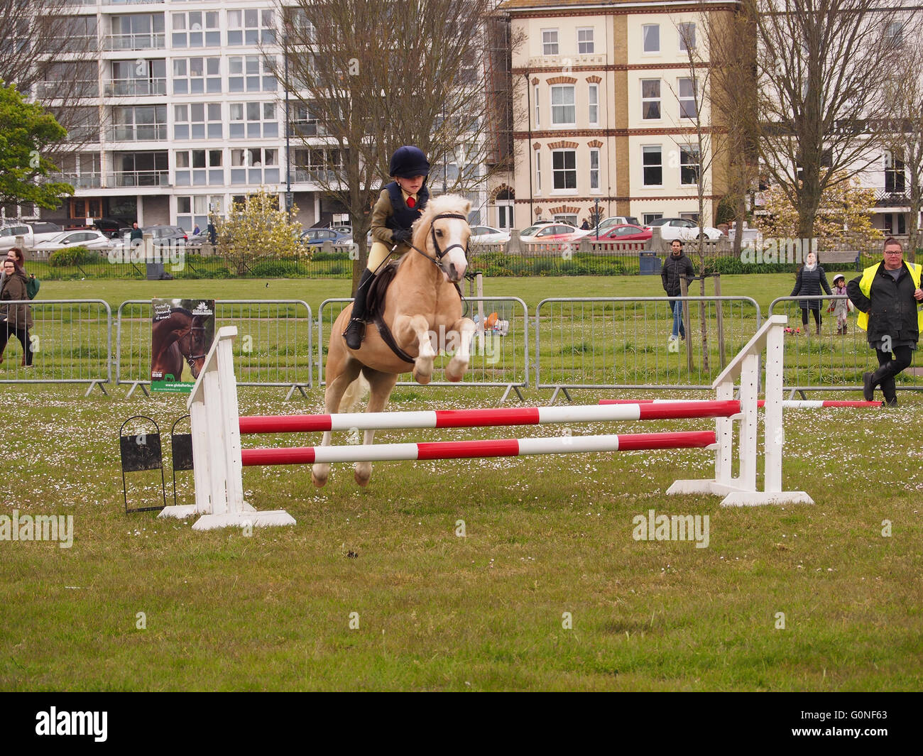Un joven salta un obstáculo en un caballo en un evento hípico Foto de stock