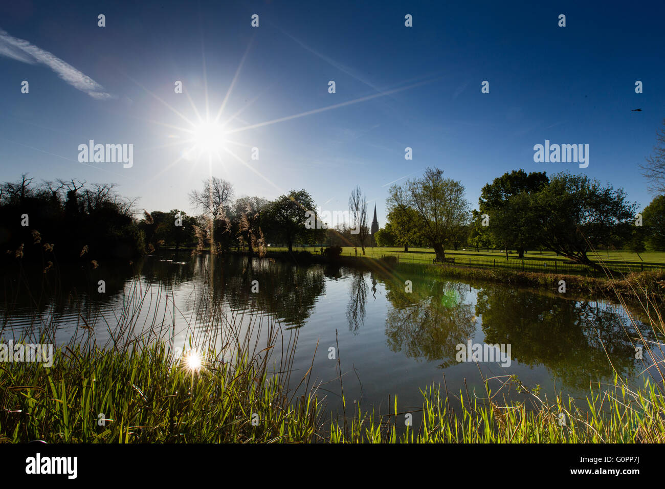 Londres, Reino Unido, 4 de mayo de 2016. Preciosa y soleada mañana en Parque Clissold, Stoke Newington, Hackney, Londres, Reino Unido. Copyright Carol efecto muaré/Alamy Live News Foto de stock