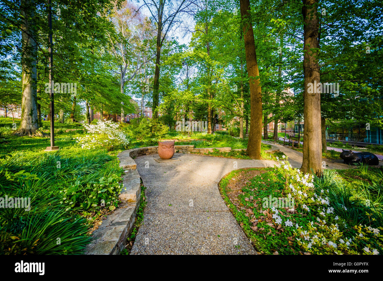 Jardines y árboles a lo largo de un pasillo en la Universidad Johns Hopkins en Baltimore, Maryland. Foto de stock