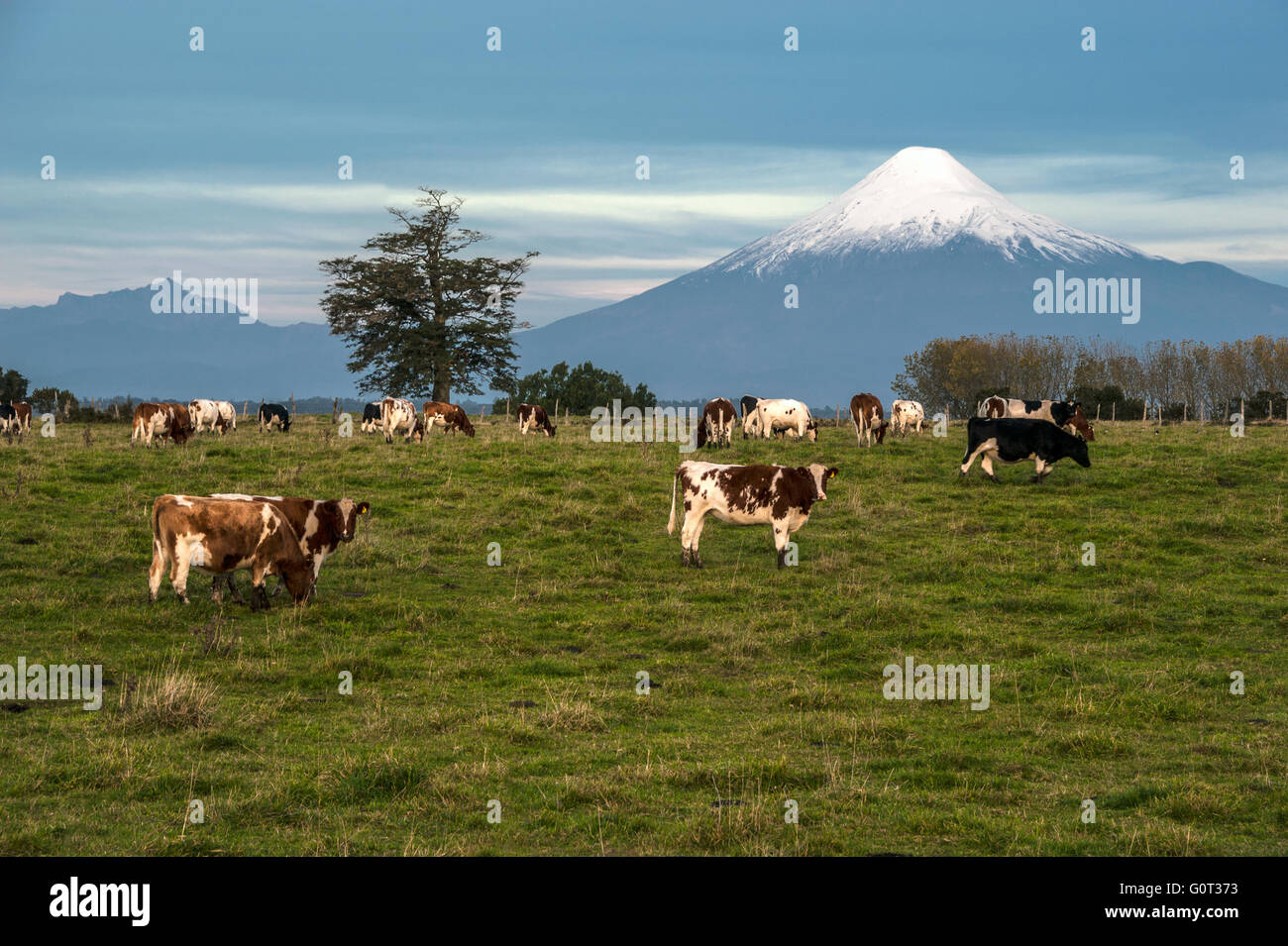 Idílico paisaje del volcán Osorno, Región de Los Lagos, Chile Foto de stock