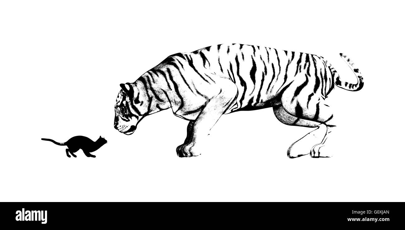 Espejo del gato y el tigre como una adversidad concepto Foto de stock