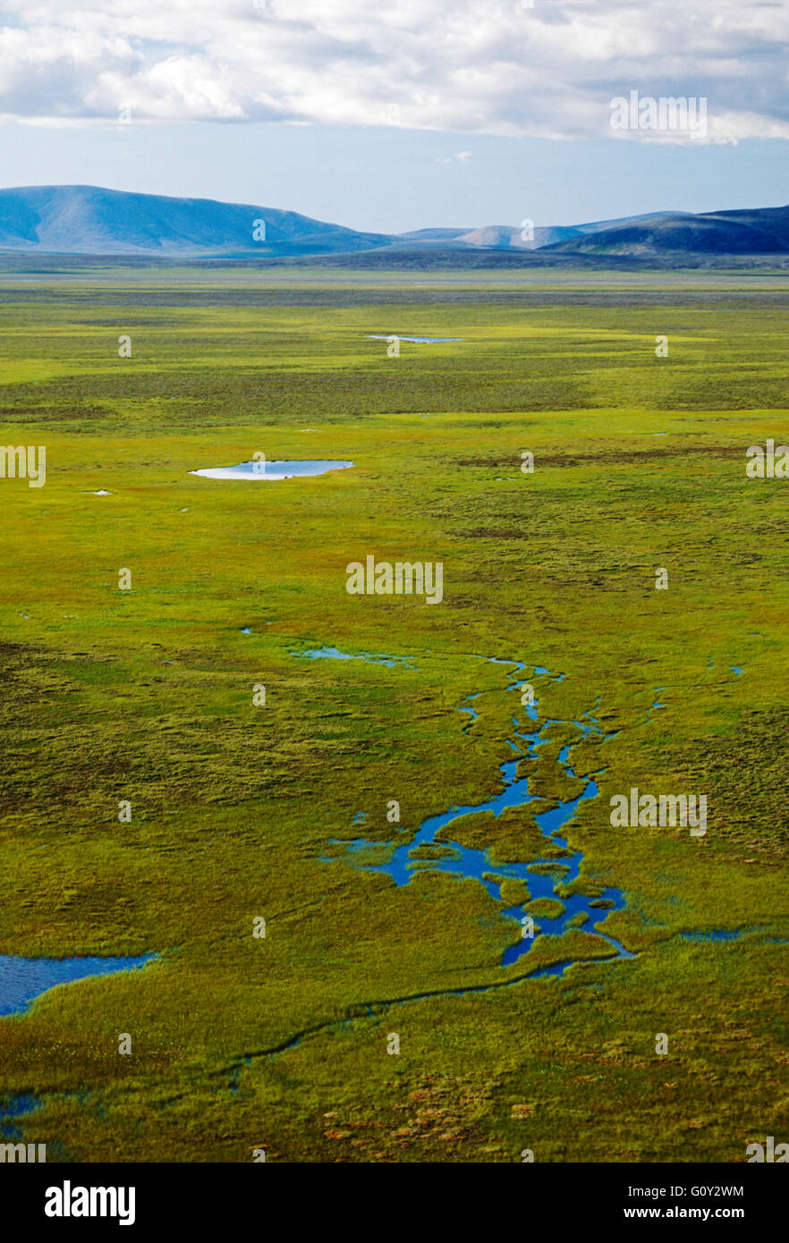 Vista aérea de la tundra ártica exuberante entre Provideniya & Egvekinot; Siberia; Chuchki Península; región de Magadan, Federación de Rusia Foto de stock
