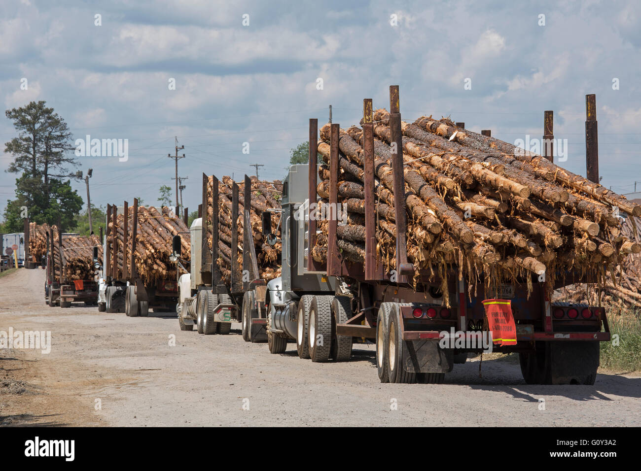 McCormick, Carolina del Sur - El registro de camiones que llegan a un Georgia-Pacific lumber yard. Foto de stock