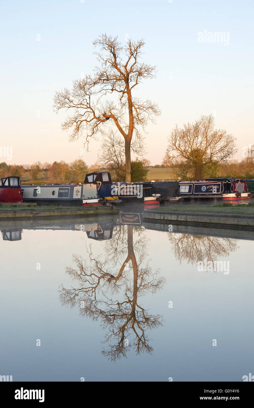 Árbol y barcos de canal reflejándose en el agua marina Cropredy, Oxfordshire, Inglaterra Foto de stock