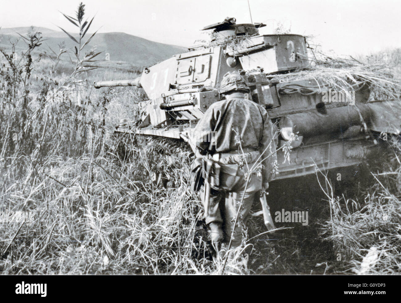 Waffen Ss Panzer Division Fotos e Imágenes de stock Alamy