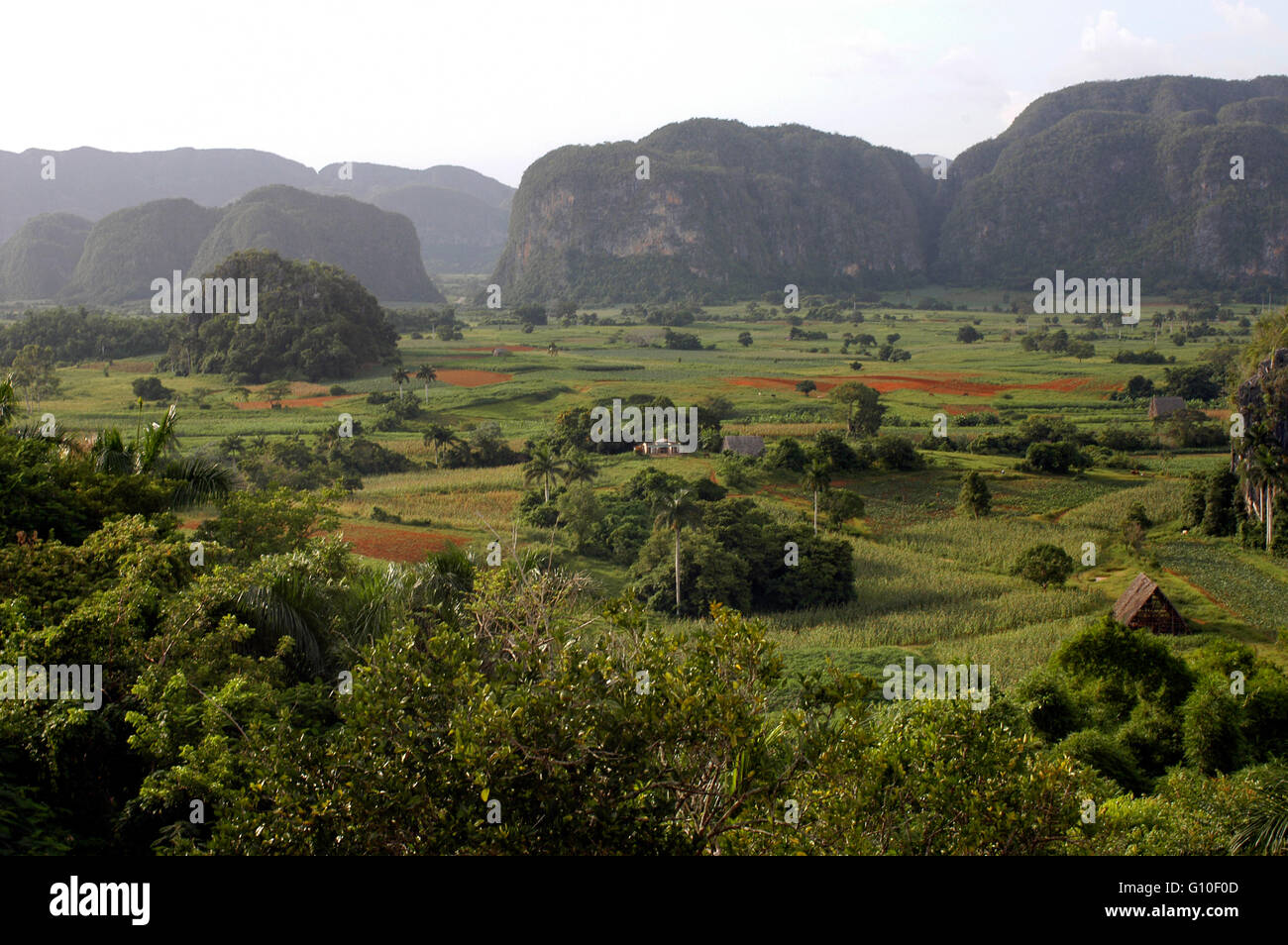 Impresionantes vistas del Valle de Viñales Cuba. Casas de campo y las montañas, el Valle de Viñales, sitio del Patrimonio Mundial de la UNESCO, Cuba, Las Antillas, el Caribe, América Central. Foto de stock