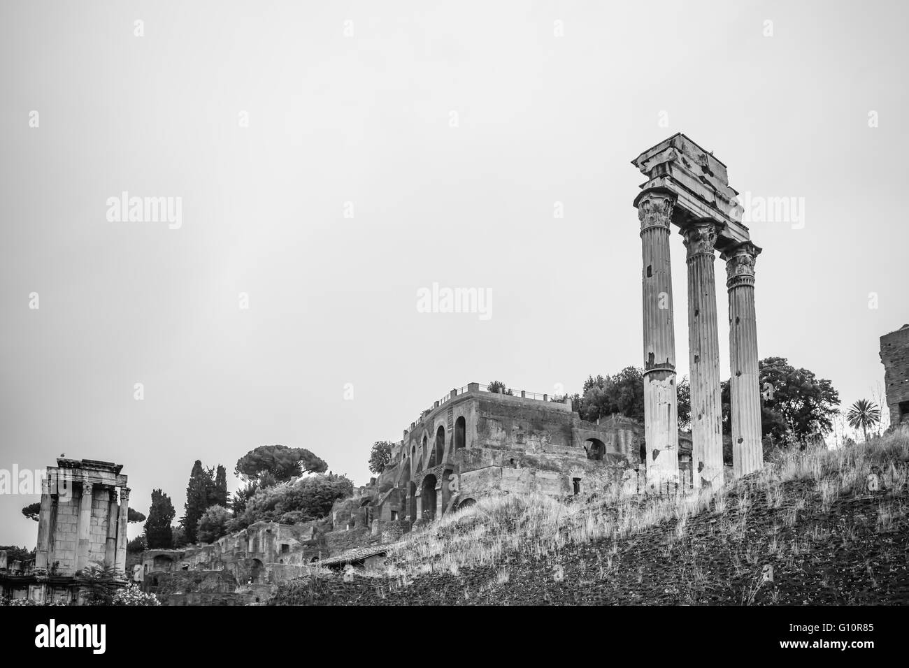 Vista de las ruinas antiguas en blanco y negro, Roma, Italia Foto de stock